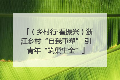 （乡村行·看振兴）浙江乡村“自我重塑” 引青年“筑巢生金”