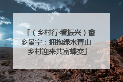 （乡村行·看振兴）畲乡景宁：拥抱绿水青山 乡村迎来共富蝶变