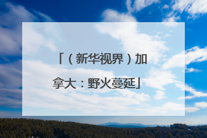 （新华视界）加拿大：野火蔓延