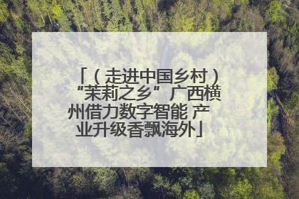（走进中国乡村）“茉莉之乡”广西横州借力数字智能 产业升级香飘海外