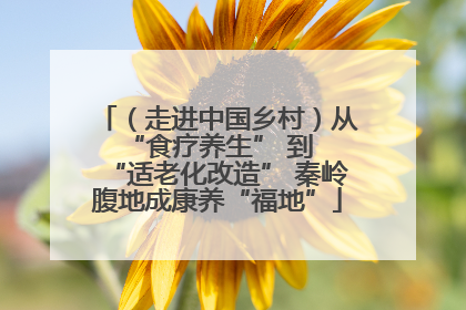 （走进中国乡村）从 “食疗养生” 到 “适老化改造” 秦岭腹地成康养“福地”