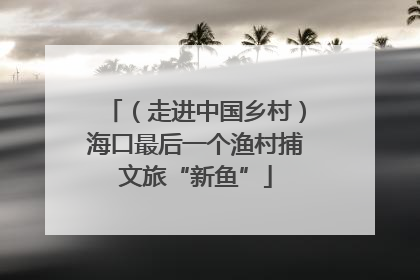（走进中国乡村）海口最后一个渔村捕文旅“新鱼”