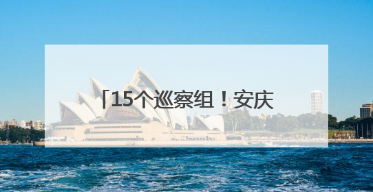 15个巡察组！安庆市发布专项巡察公告