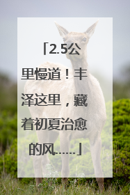 2.5公里慢道！丰泽这里，藏着初夏治愈的风……