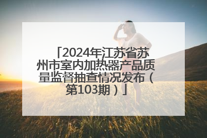 2024年江苏省苏州市室内加热器产品质量监督抽查情况发布（第103期）