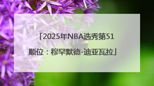 2025年NBA选秀第51顺位：穆罕默德-迪亚瓦拉