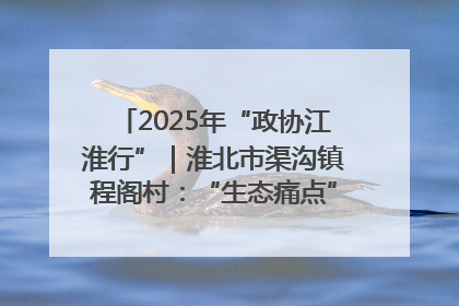 2025年“政协江淮行”｜淮北市渠沟镇程阁村：“生态痛点”变“生态景观”