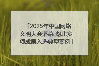 2025年中国网络文明大会落幕 湖北多项成果入选典型案例