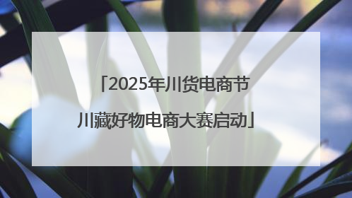 2025年川货电商节川藏好物电商大赛启动