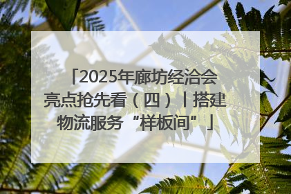 2025年廊坊经洽会亮点抢先看（四）丨搭建物流服务“样板间”