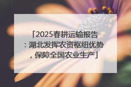 2025春耕运输报告：湖北发挥农资枢纽优势，保障全国农业生产