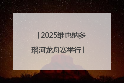 2025维也纳多瑙河龙舟赛举行