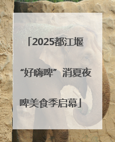 2025都江堰“好嗨啤”消夏夜啤美食季启幕