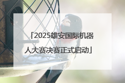 2025雄安国际机器人大赛决赛正式启动