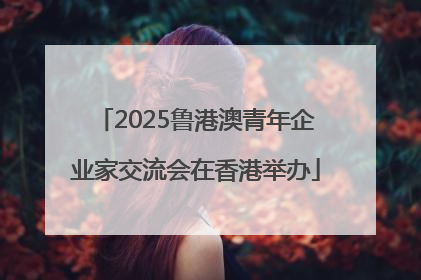 2025鲁港澳青年企业家交流会在香港举办