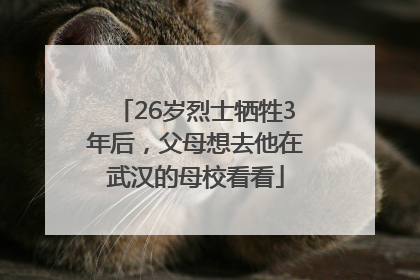 26岁烈士牺牲3年后，父母想去他在武汉的母校看看
