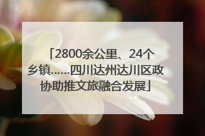 2800余公里、24个乡镇……四川达州达川区政协助推文旅融合发展