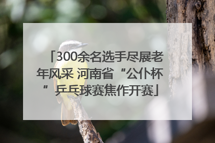 300余名选手尽展老年风采 河南省“公仆杯”乒乓球赛焦作开赛