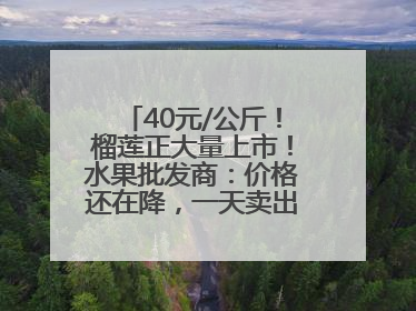 40元/公斤！榴莲正大量上市！水果批发商：价格还在降，一天卖出2000箱