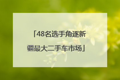 48名选手角逐新疆最大二手车市场