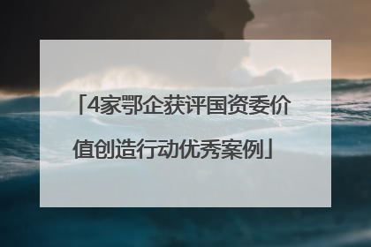 4家鄂企获评国资委价值创造行动优秀案例