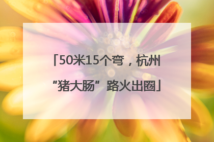 50米15个弯，杭州“猪大肠”路火出圈