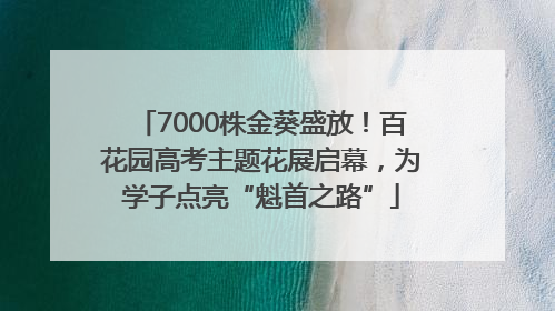 7000株金葵盛放！百花园高考主题花展启幕，为学子点亮“魁首之路”