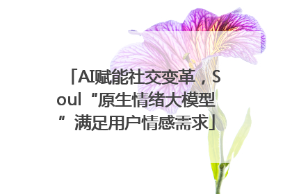 AI赋能社交变革，Soul“原生情绪大模型”满足用户情感需求