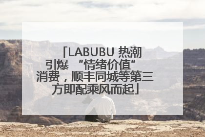 LABUBU 热潮引爆 “情绪价值” 消费，顺丰同城等第三方即配乘风而起